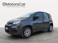 Usata Fiat Panda Easy 69 CV (50 kW) 2019 Grigio Utilitaria