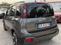 Usata Fiat Panda Cross Cross 69 CV (50 kW) 2023 Grigio Utilitaria