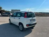 Usata Fiat Panda Easy 70 CV (51 kW) 2018 Bianco Utilitaria