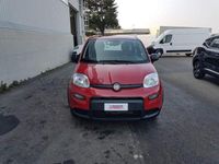 usata Fiat Panda Panda My24 1.0 70cv Hybrid