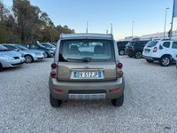 Usata Fiat Panda Cross Cross 69 CV (50 kW) 2008 Verde Utilitaria