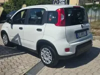 Usata Fiat Panda City Life 69 CV (50 kW) 2023 Utilitaria