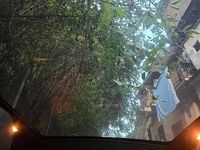 Usata Land Rover Range Rover evoque Black Edition 190 CV (139 kW) 2015 Bianco SUV