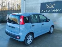 Usata Fiat Panda S 69 CV (50 kW) 2022 Grigio Utilitaria