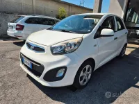 Usata Kia Picanto City 69 CV (50 kW) 2014 Bianco Utilitaria