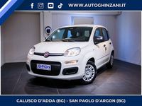 Nuova Fiat Panda Icon 69 CV (50 kW) 2025 Bianco gelato Utilitaria