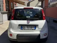 Usata Fiat Panda City Life 69 CV (50 kW) 2022 Utilitaria