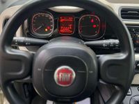 Usata Fiat Panda Lounge 95 CV (69 kW) 2015 Bianco Utilitaria