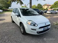 Usata Fiat Punto Lounge 69 CV (50 kW) 2013 Bianco Utilitaria