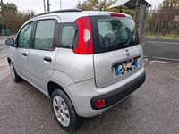 Usata Fiat Panda Easy 69 CV (50 kW) 2013 Argento Berlina