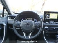 usata Toyota RAV4 Hybrid 
