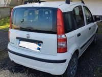 Usata Fiat Panda 54 CV (39 kW) 2009 Bianco Utilitaria