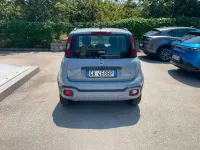 Usata Fiat Panda Cross Cross 69 CV (50 kW) 2022 Grigio Utilitaria
