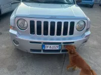 Usata Jeep Patriot Limited 140 CV (102 kW) 2009 Marrone SUV