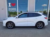 Nuova Ford Kuga ST-Line 150 CV (110 kW) 2025 Bianco SUV