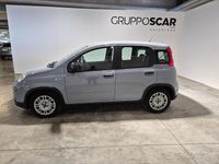 Usata Fiat Panda S 70 CV (51 kW) 2022 Grigio Utilitaria
