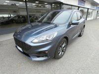 Usata Ford Kuga ST-Line X 120 CV (88 kW) 2024 Blu metallizzato SUV