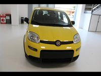 Usata Fiat Panda S 70 CV (51 kW) 2024 Giallo Utilitaria