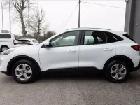 Usata Ford Kuga Business Edition 120 CV (88 kW) 2021 Bianco SUV