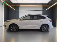 Usata Ford Kuga ST-Line 225 CV (165 kW) 2023 Bianco SUV