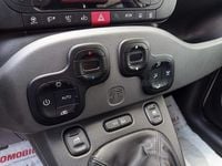 Usata Fiat Panda 4x4 S 86 CV (63 kW) 2017 Bianco Utilitaria