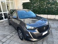 usata Peugeot 2008 BlueHDi 110 S&S Active usato