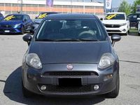 Usata Fiat Punto Lounge 77 CV (56 kW) 2013 Grigio Utilitaria