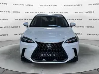 Usata Lexus NX450h+ 292 CV (214 kW) 2025 Other SUV