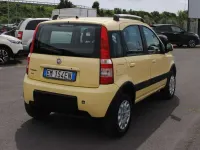 Usata Fiat Panda 4x4 Climbing 69 CV (50 kW) 2012 Giallo Utilitaria