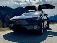 usata Tesla Model X 100 D