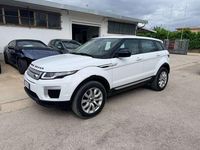 Usata Land Rover Range Rover evoque SE 150 CV (110 kW) 2015 Bianco SUV