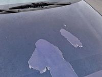 Usata VW Polo 70 CV (51 kW) 2000 Blu Utilitaria