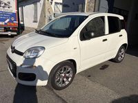 Usata Fiat Panda 69 CV (50 kW) 2021 Bianco Furgone