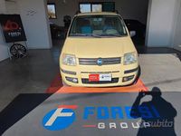 Usata Fiat Panda Dynamic 59 CV (43 kW) 2007 Giallo Utilitaria