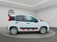 Usata Fiat Panda 4x4 Pop 85 CV (62 kW) 2020 Bianco Utilitaria