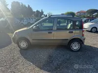 Usata Fiat Panda Dynamic 60 CV (44 kW) 2010 Grigio Utilitaria