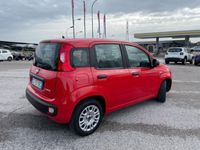usata Fiat Panda (2011-->>) del 2022 usata a Maniago