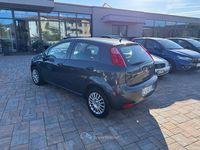 Usata Fiat Punto Young 75 CV (55 kW) 2015 Other Utilitaria