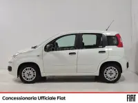 Usata Fiat Panda Lounge 95 CV (69 kW) 2016 Bianco Utilitaria