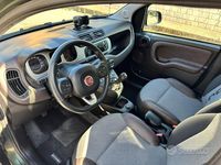 Usata Fiat Panda Cross Cross 95 CV (69 kW) 2017 Verde Utilitaria