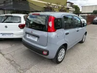 Usata Fiat Panda Easy 69 CV (50 kW) 2019 Grigio Utilitaria
