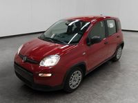 Usata Fiat Panda S 69 CV (50 kW) 2024 Rosso Utilitaria
