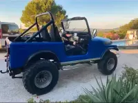 Usata Jeep CJ 1981 Bluazzurro SUV