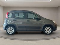 Usata Fiat Panda City Life 69 CV (50 kW) 2023 Gray Berlina