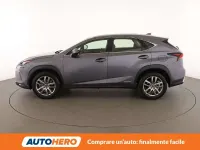 Usata Lexus NX300h E-FOUR Executive Line 197 CV (144 kW) 2019 Grigio SUV