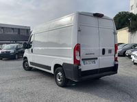 Usata Fiat Ducato 140 CV (102 kW) 2024 Bianco Furgone