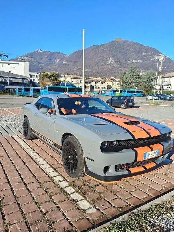 Usata Dodge Challenger SXT 309 CV (227 kW) 2022 Coupé