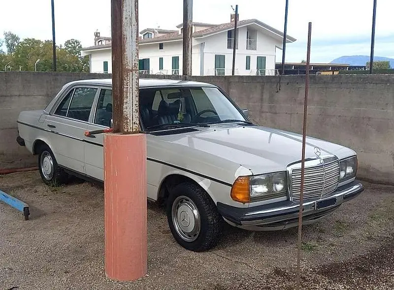 Occasion Mercedes 240 97 ch (71 kW) 1979 Blanc Berline