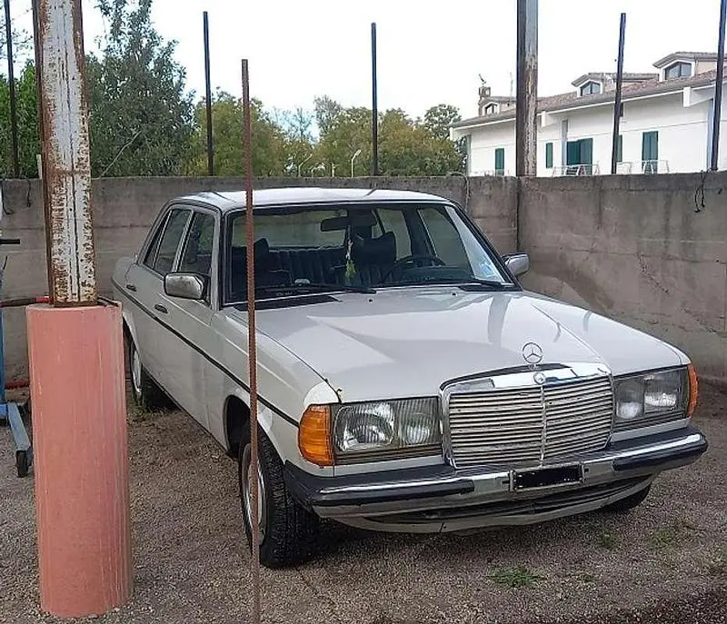 Occasion Mercedes 240 97 ch (71 kW) 1979 Blanc Berline
