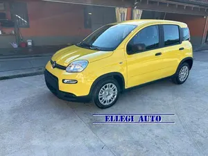 Usata Fiat Panda